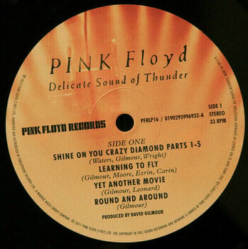 Disco de vinilo Pink Floyd - Delicate Sound Of Thunder (LP) - 2