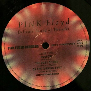Vinyl Record Pink Floyd - Delicate Sound Of Thunder (LP) - 3