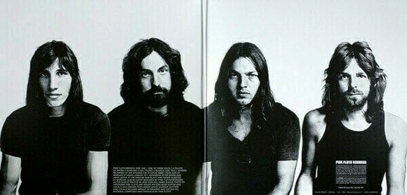 Disque vinyle Pink Floyd - Meddle (2011 Remastered) (LP) - 4