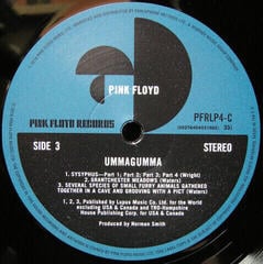 Vinylplade Pink Floyd - Ummagummma (2011 Remastered) (180 g) (2 LP) - 4
