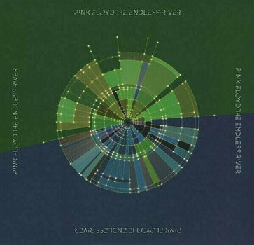 Vinyylilevy Pink Floyd - The Endless River (2 LP) - 9