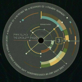 Vinylskiva Pink Floyd - The Endless River (2 LP) - 4