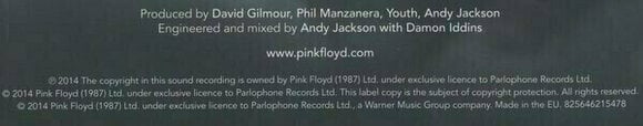 Disque vinyle Pink Floyd - The Endless River (2 LP) - 22