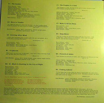 Vinyl Record Brad Mehldau - Finding Gabriel (LP) - 8