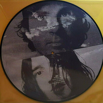 Disque vinyle Red Hot Chili Peppers - Californication (Picture Vinyl) (LP) - 4