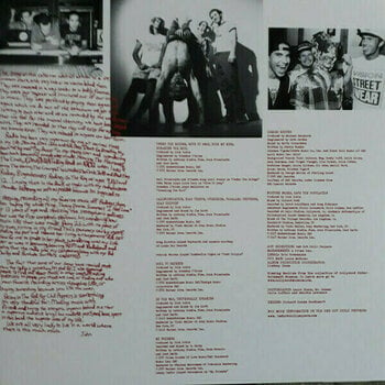 Hanglemez Red Hot Chili Peppers - Greatest Hits (LP) - 5