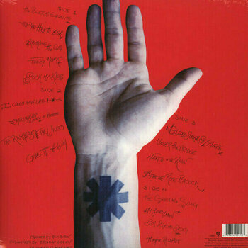 Schallplatte Red Hot Chili Peppers - Blood Sugar Sex Magik (LP) - 2