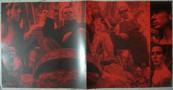 LP ploča Red Hot Chili Peppers - Blood Sugar Sex Magik (LP) - 4