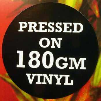 Vinyl Record Morcheeba - Big Calm (LP) - 8