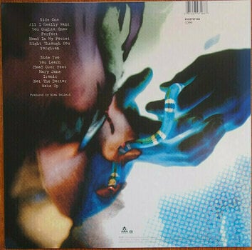 Vinylplade Alanis Morissette - Jagged Little Pill (LP) - 8