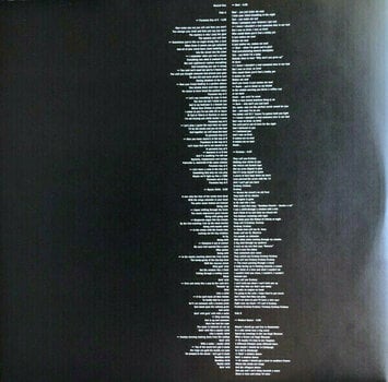 Vinyl Record Lou Reed - RSD - Ecstasy (LP) - 9
