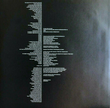 Vinylskiva Lou Reed - RSD - Ecstasy (LP) - 12