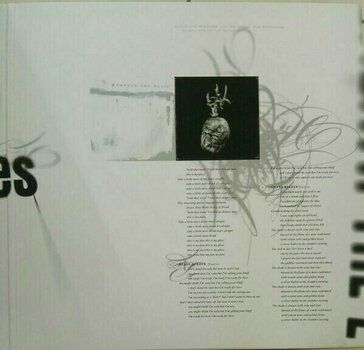 Disco de vinilo Pixies - Beneath The Eyrie (LP) - 4