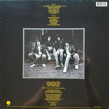 Δίσκος LP Ramones - Road To Ruin (Remastered) (LP) - 2