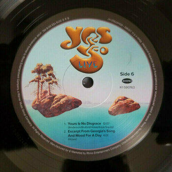 Vinyl Record Yes - Yes 50 Live (4 LP) - 8