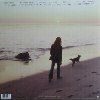 Schallplatte Neil Young - Hitchhiker (LP) - 2