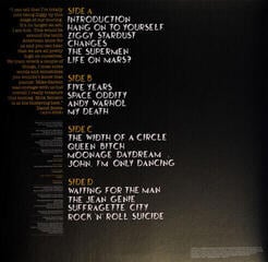 Disco de vinil David Bowie - Live Santa Monica '72 (LP) - 2