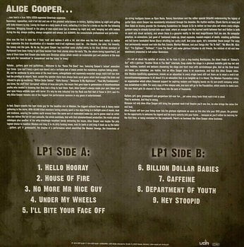 Disco de vinil Alice Cooper - Alice Cooper - Raise The Dead - Live From Wacken (3 LP) - 10