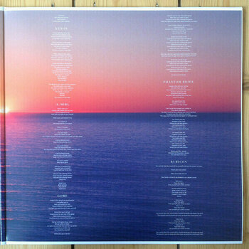 LP plošča Deftones - Gore (LP) - 8