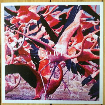 Vinyl Record Deftones - Gore (LP) - 9