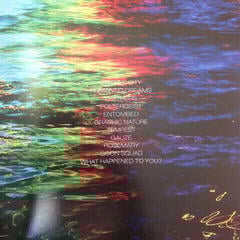 LP platňa Deftones - Koi No Yokan (LP) - 5
