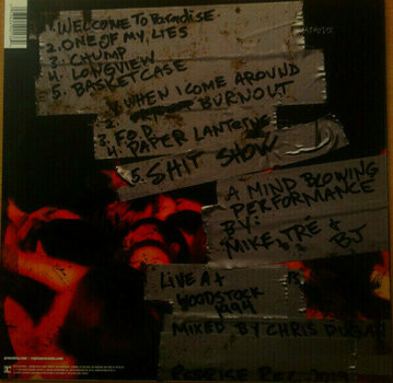 Disco de vinilo Green Day - Rsd - Woodstock 1994 (LP) - 4