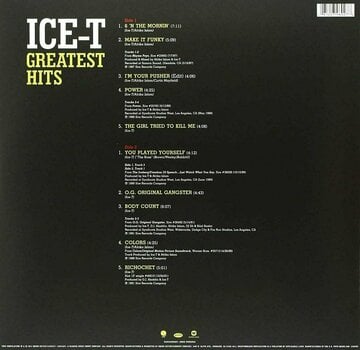 Vinyl Record Ice-T - Rsd - Greatest Hits (LP) - 2