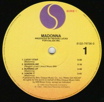 Vinyl Record Madonna - Madonna (LP) - 3