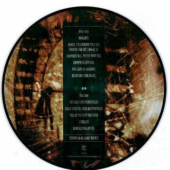 Vinylskiva My Chemical Romance - I Brought You My Bullets, You Brought Me Your Love (Picture Disc) (LP) - 2