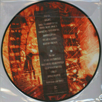 Vinyylilevy My Chemical Romance - I Brought You My Bullets, You Brought Me Your Love (Picture Disc) (LP) - 4