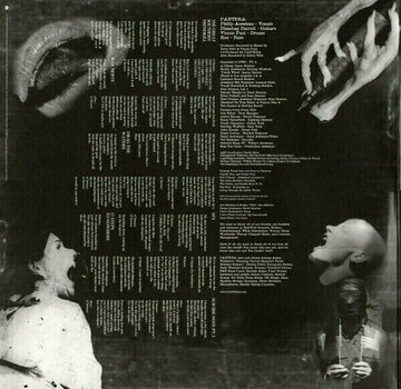 Schallplatte Pantera - Great Southern Trendkill (LP) - 3