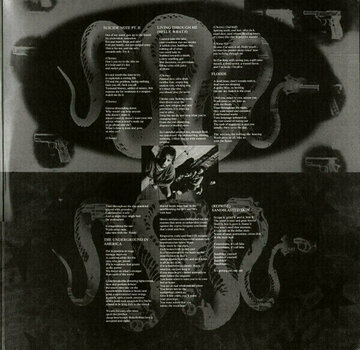 Disque vinyle Pantera - Great Southern Trendkill (LP) - 4