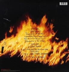 LP deska Pantera - Reinventing The Steel (LP) - 1