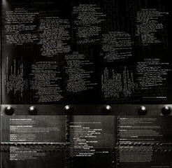 LP deska Pantera - Reinventing The Steel (LP) - 3