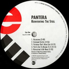 LP deska Pantera - Reinventing The Steel (LP) - 4