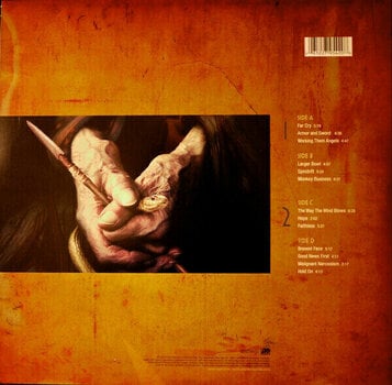 Vinyl Record Rush - Snakes & Arrows (LP) - 2