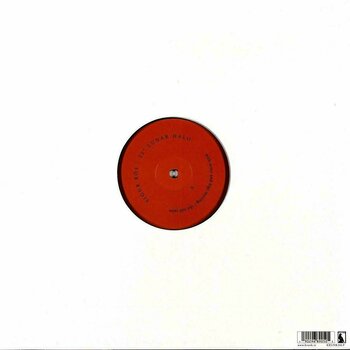 Disque vinyle Sigur Rós - 22° Lunar Halo (LP) - 2