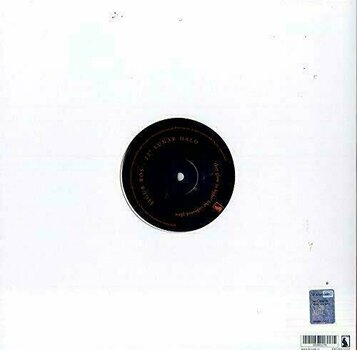 Disque vinyle Sigur Rós - Lunar Halo 22° (LP) - 2