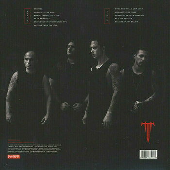 Vinyl Record Trivium - Silence In The Snow (LP) - 2