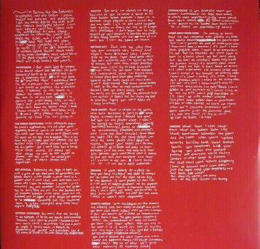 Vinyl Record Touché Amoré - Parting The Sea Between Brightness And Me (LP) - 3