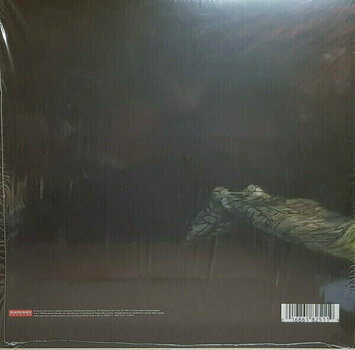 Vinyl Record Trivium - Ascendancy (Orange Vinyl) (2 LP) - 4