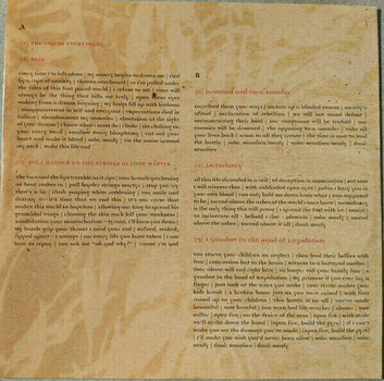Vinyl Record Trivium - Ascendancy (Orange Vinyl) (2 LP) - 8