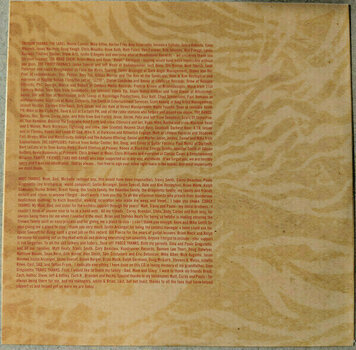 Vinyl Record Trivium - Ascendancy (Orange Vinyl) (2 LP) - 9