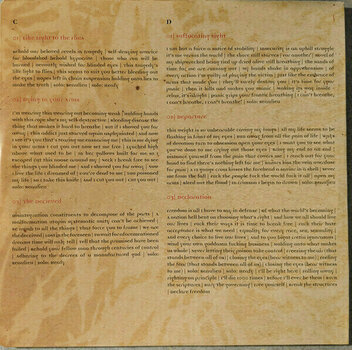 Vinyl Record Trivium - Ascendancy (Orange Vinyl) (2 LP) - 10