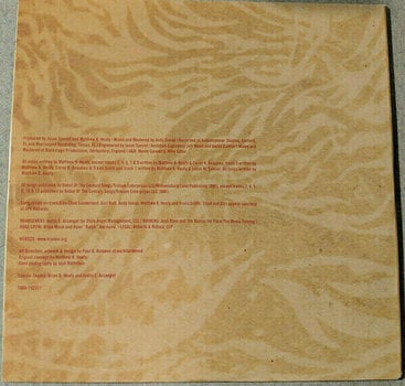 Vinyylilevy Trivium - Ascendancy (Orange Vinyl) (2 LP) - 11