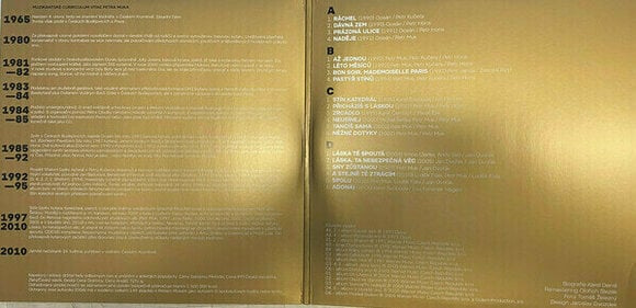 Грамофонна плоча Petr Muk - Sny Zustanou / Definitive Best Of (LP) - 5