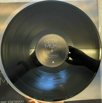 Vinyl Record Petr Muk - Sny Zustanou / Definitive Best Of (LP) - 6
