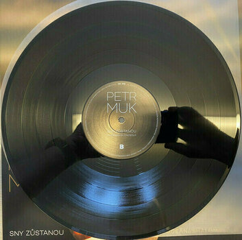 Disco de vinil Petr Muk - Sny Zustanou / Definitive Best Of (LP) - 7