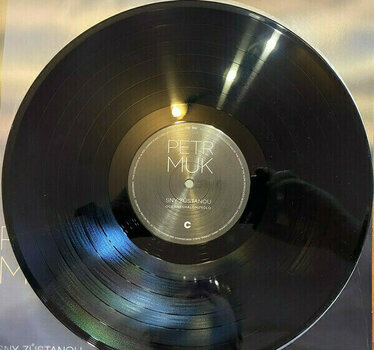 Δίσκος LP Petr Muk - Sny Zustanou / Definitive Best Of (LP) - 8