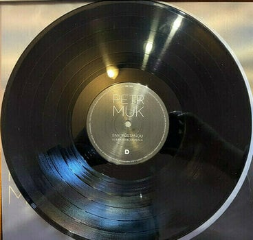 Vinyl Record Petr Muk - Sny Zustanou / Definitive Best Of (LP) - 9